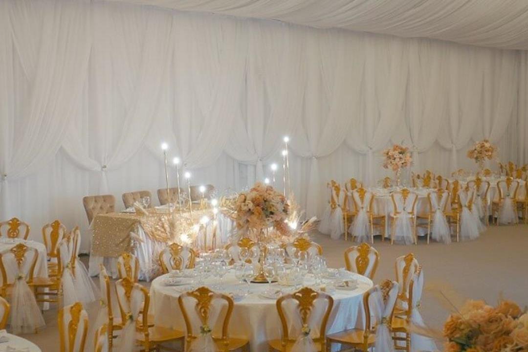Lolu Forest Events