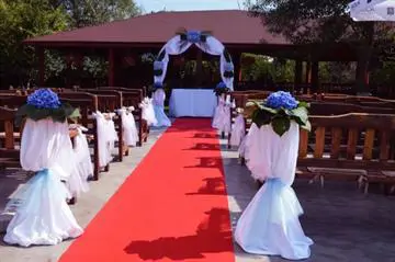 Gradina de Vara