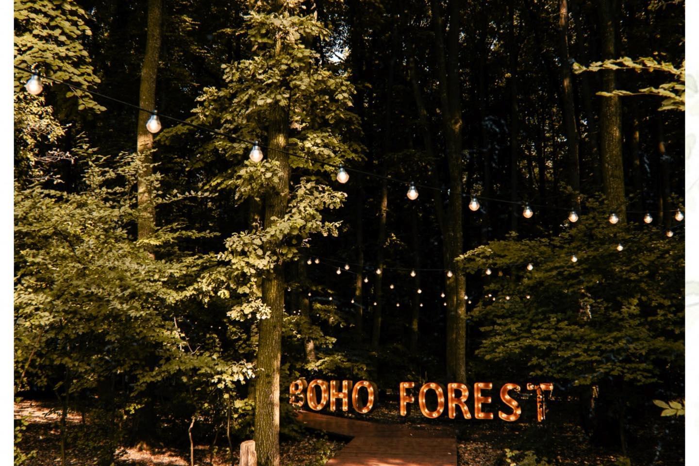 BOHO Forest