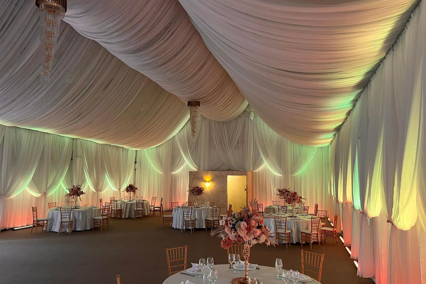 Lolu Forest Events