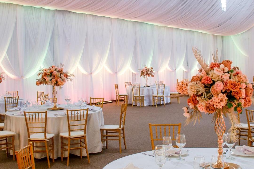 Lolu Forest Events