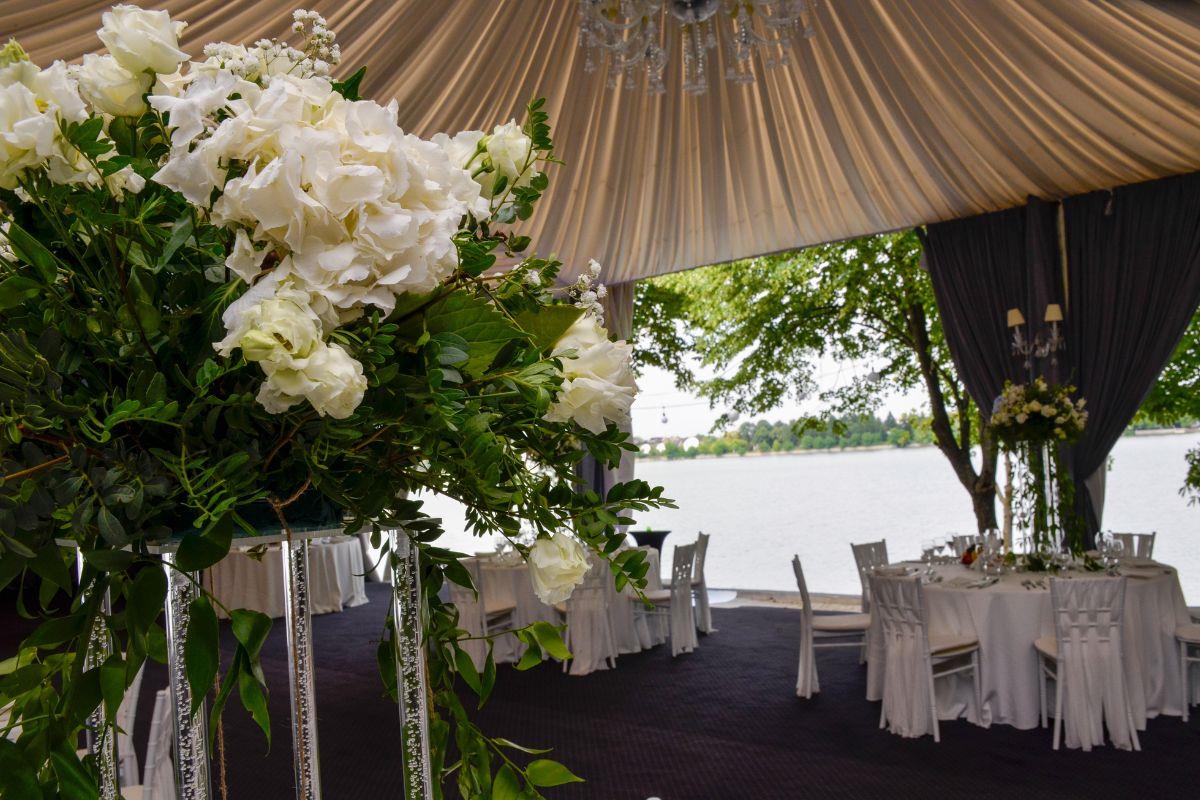 Ballroom Calul Balan