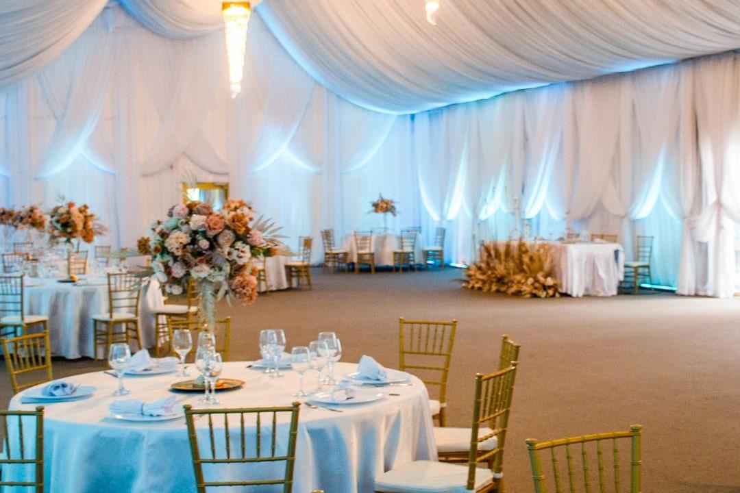 Lolu Forest Events