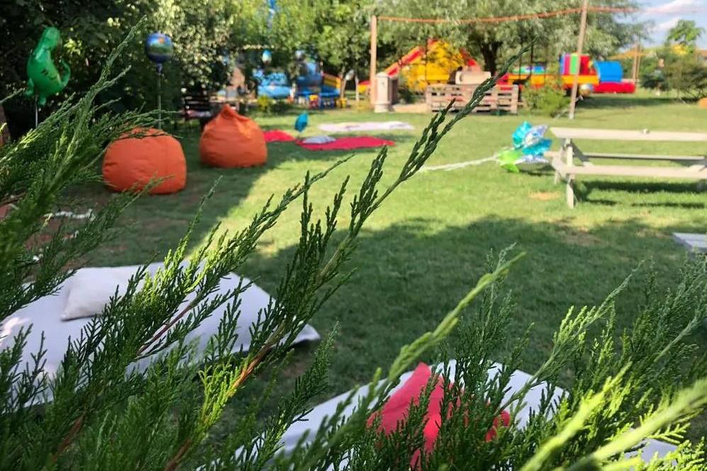 Gradina cu lavanda